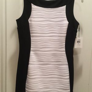Calvin Klein Dress